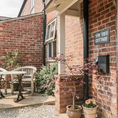 Yew Tree York