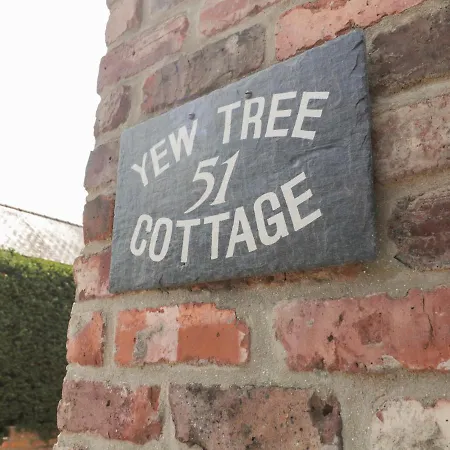 Yew Tree