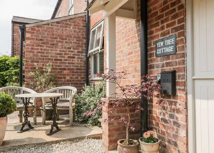 Yew Tree 约克